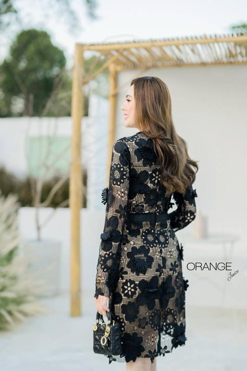 ORANGE JUICE Lace Embroidered Round Neck Dresses